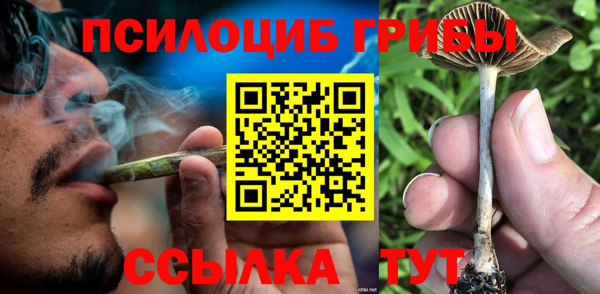Галлюциногенные грибы Psilocybine cubensis Минеральные Воды